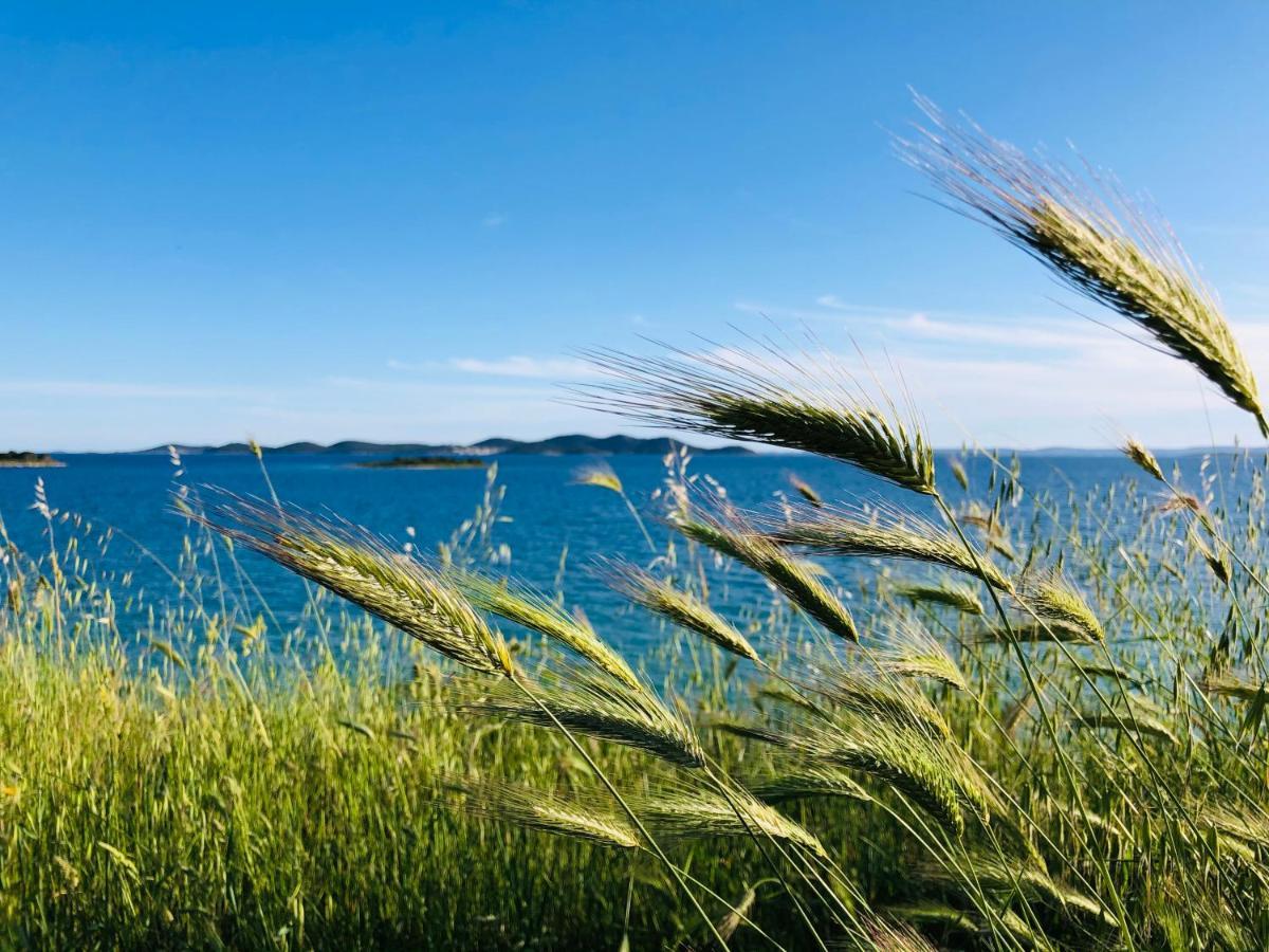 Ecobeachvilla Buqez 9 Pakostane Bagian luar foto