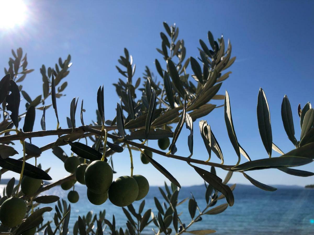 Ecobeachvilla Buqez 9 Pakostane Bagian luar foto